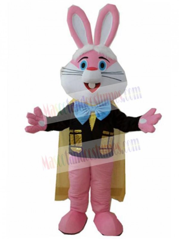 Rabbit mascot costume