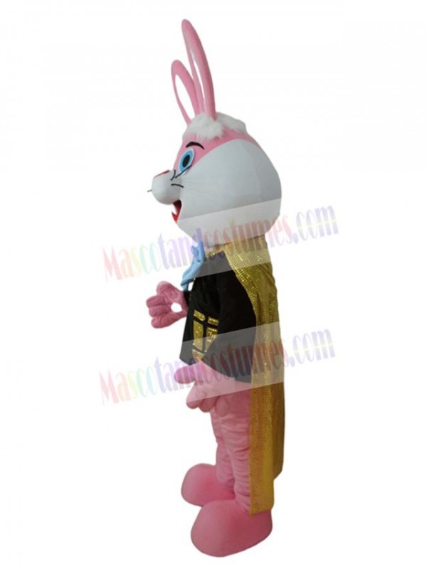Rabbit mascot costume
