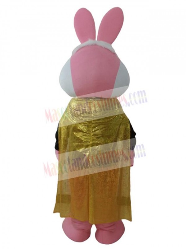 Rabbit mascot costume