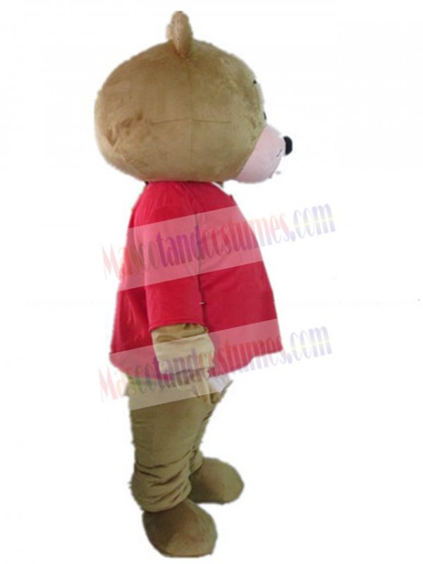 Bear mascot costume