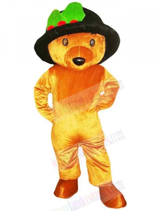 Bear mascot costume