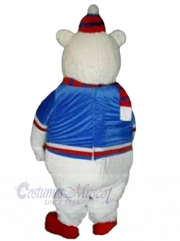 Bear mascot costume