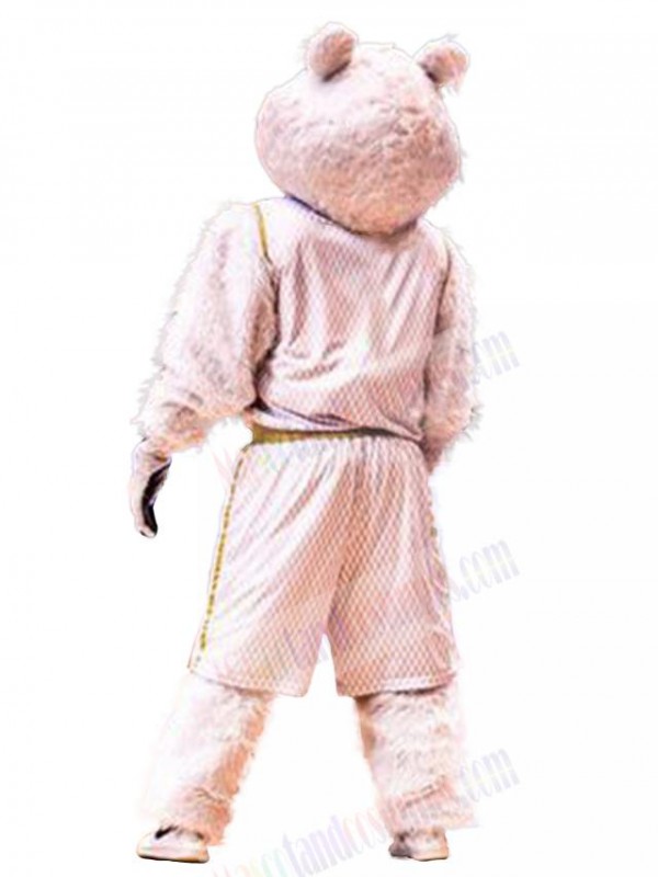 Bear mascot costume