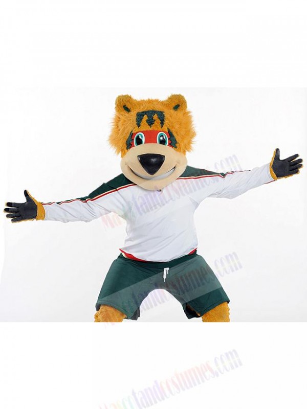 Bear mascot costume
