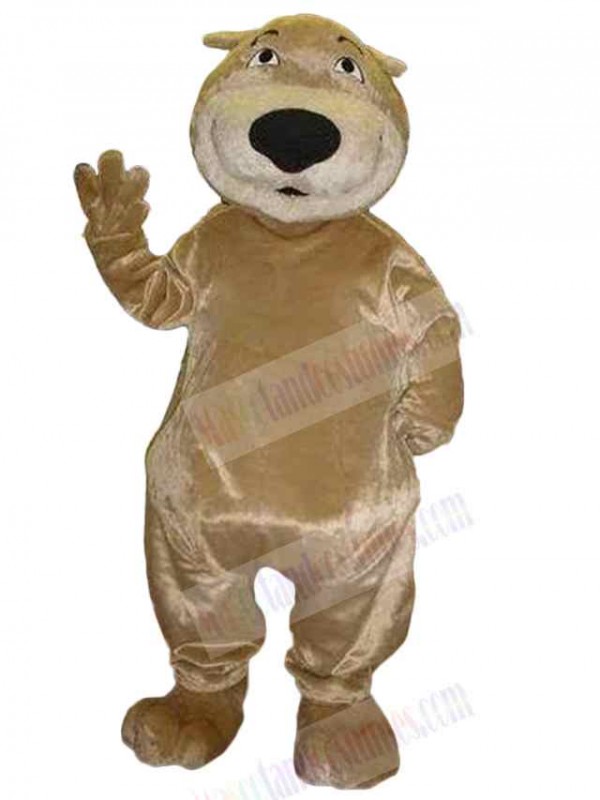 Bear mascot costume