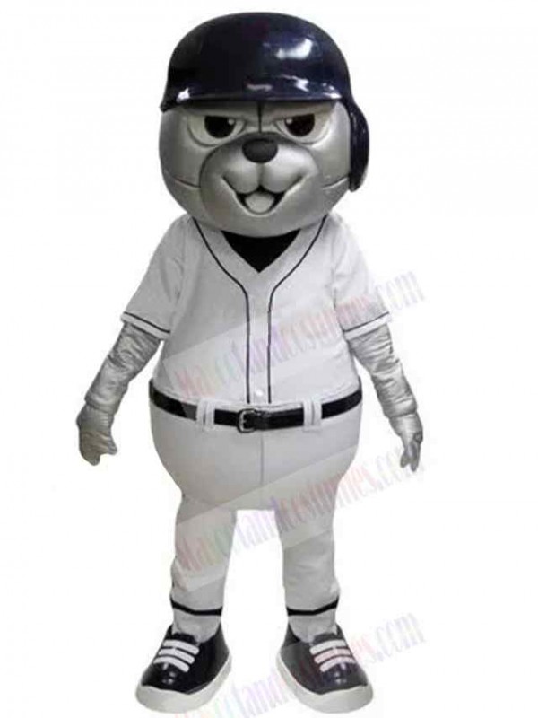 Bear mascot costume