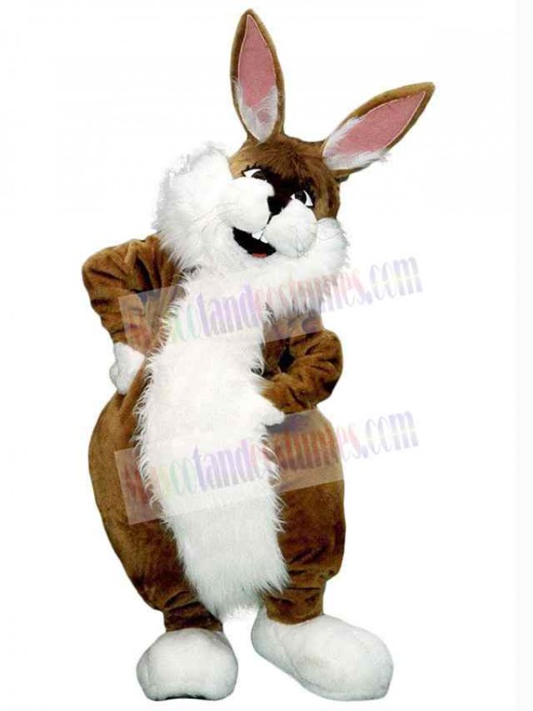 Easter Bunny Rabbit mascot costume