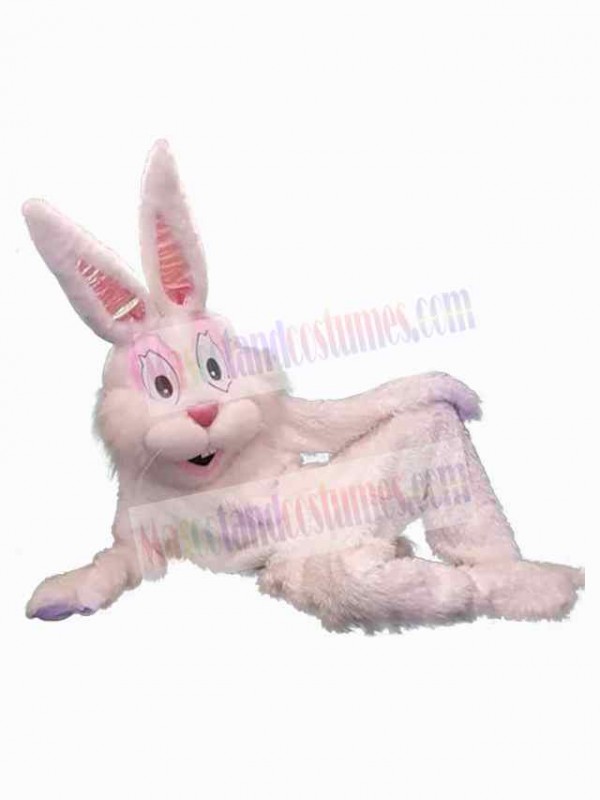 Easter Bunny Rabbit mascot costume