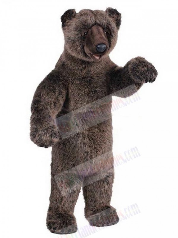 Bear mascot costume