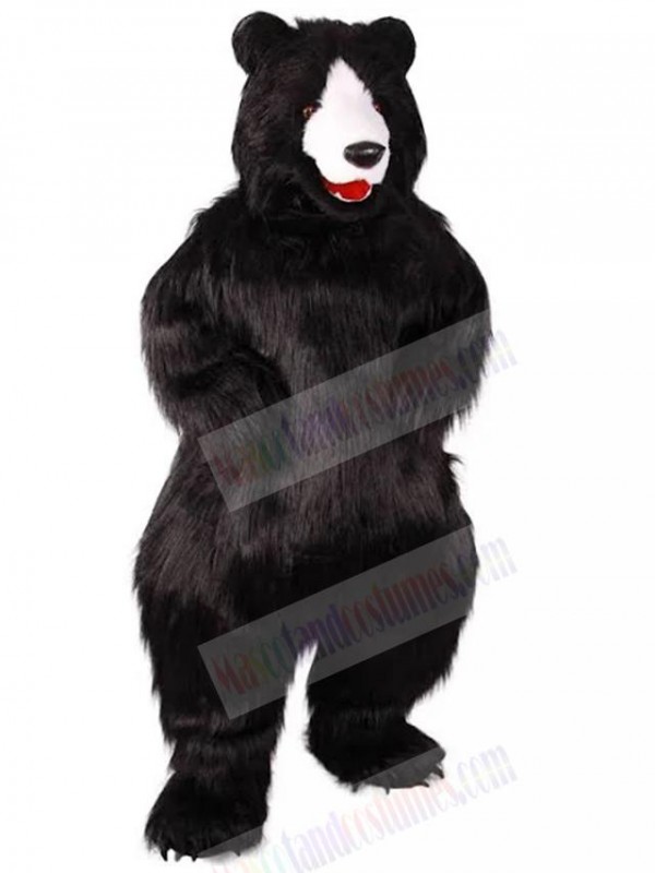 Bear mascot costume
