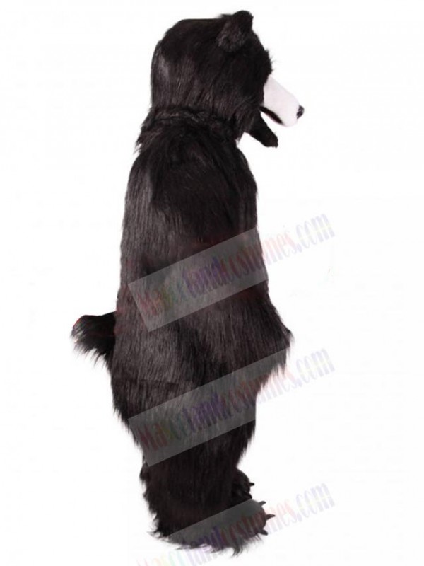 Bear mascot costume
