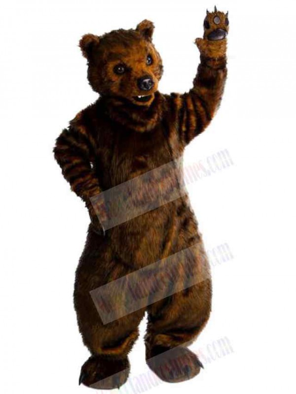 Bear mascot costume