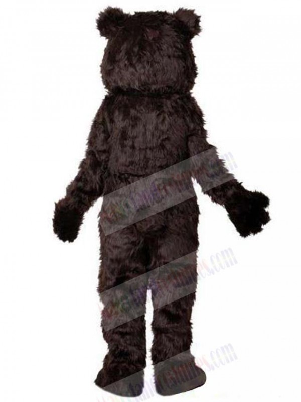 Bear mascot costume
