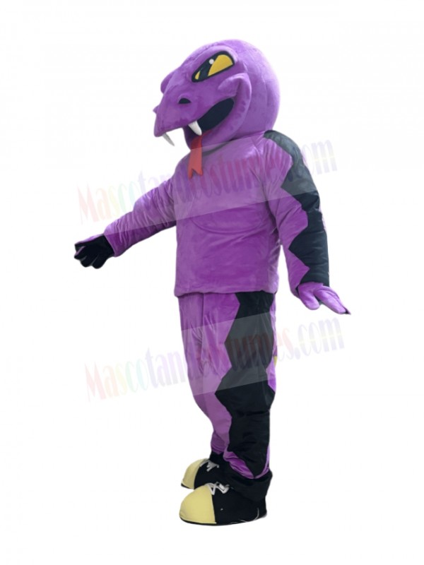 Rattle Snake mascot costume