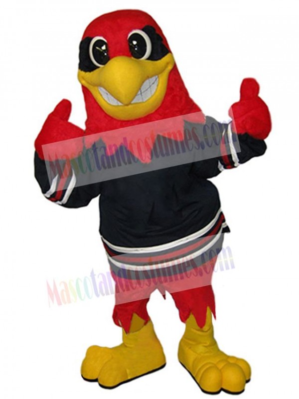 Hawk mascot costume