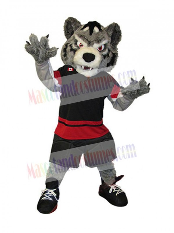 Wolf mascot costume