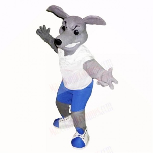 Greyhound Dog With White Shirt Mascot Costumes School 